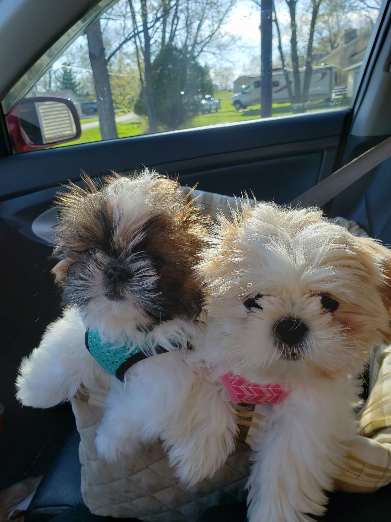 Emmy and Sophie